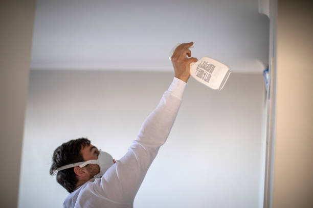 Best Black Mold Removal  in Hinsdale, IL